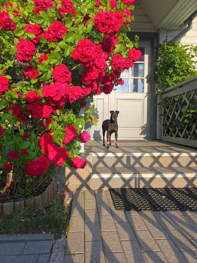 Manni Homestay Курессааре Экстерьер фото